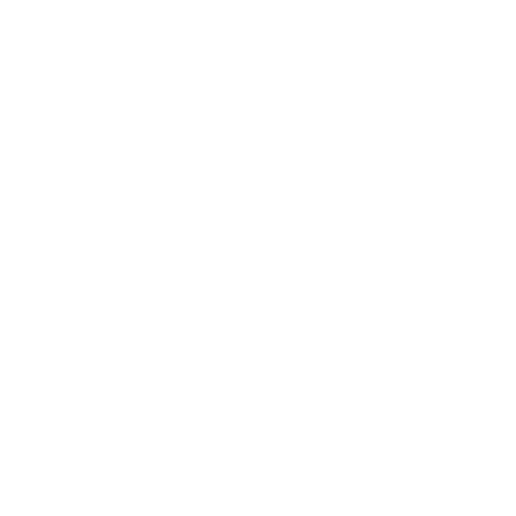 RGpneus