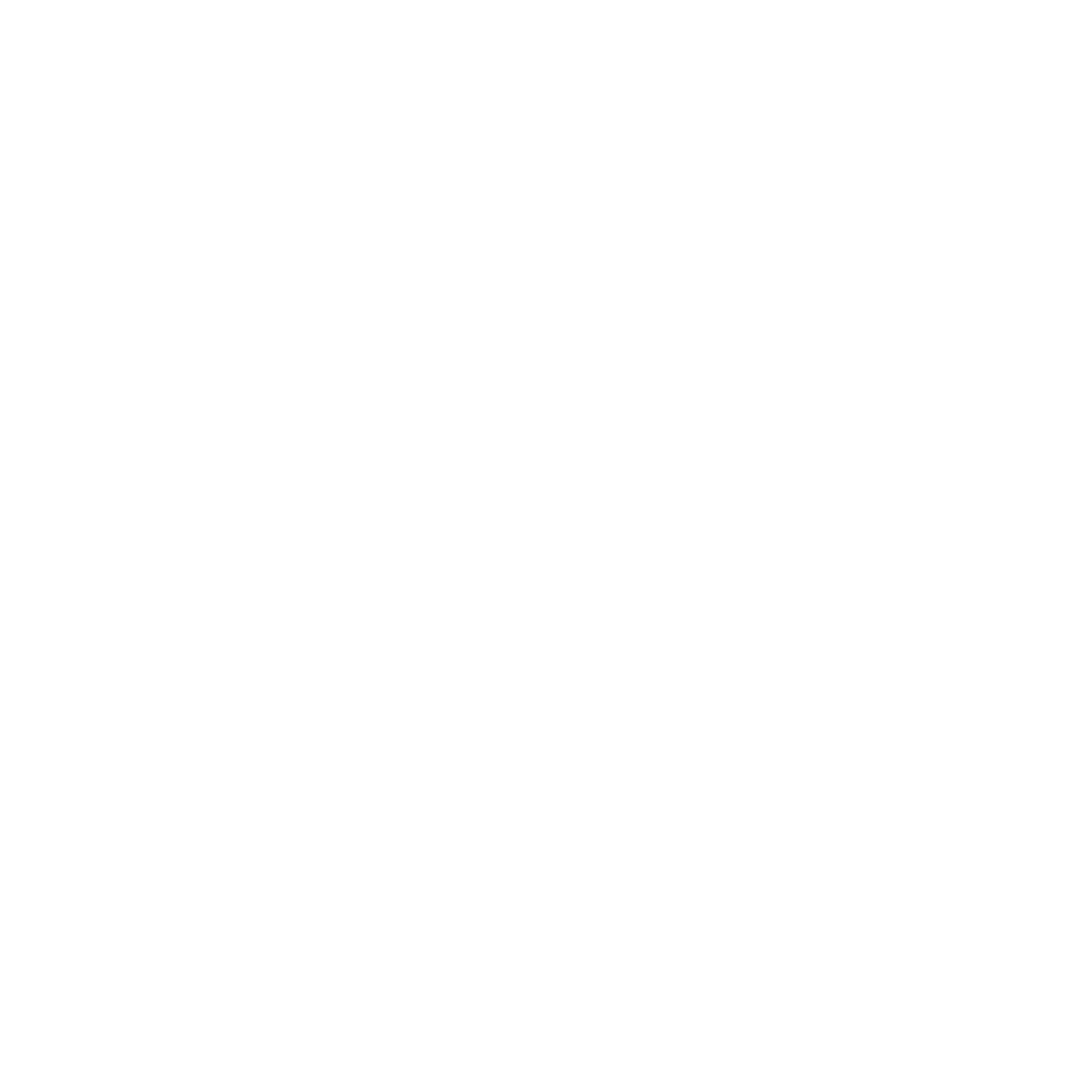 Fraga Mendes